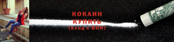 прущий лед Каменка