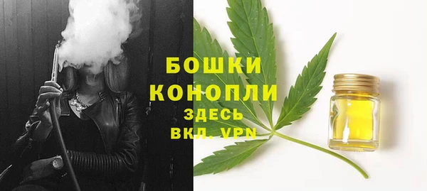 индика Каменск-Шахтинский