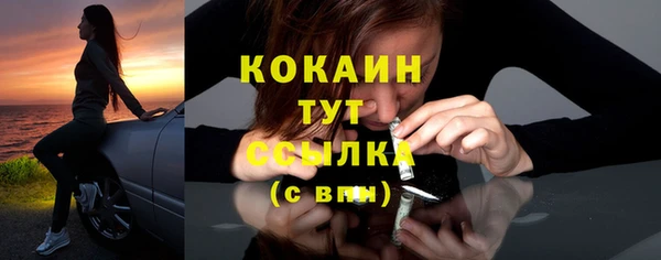 индика Каменск-Шахтинский