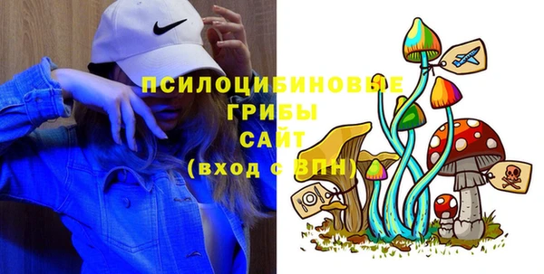 индика Каменск-Шахтинский