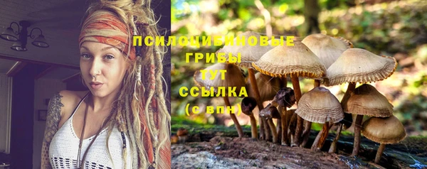 альфа пвп Каменногорск