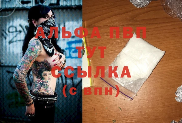 индика Каменск-Шахтинский