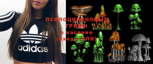 альфа пвп Каменногорск