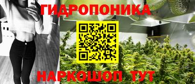 дживик Гусев