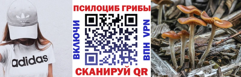 Псилоцибиновые грибы прущие грибы Коряжма