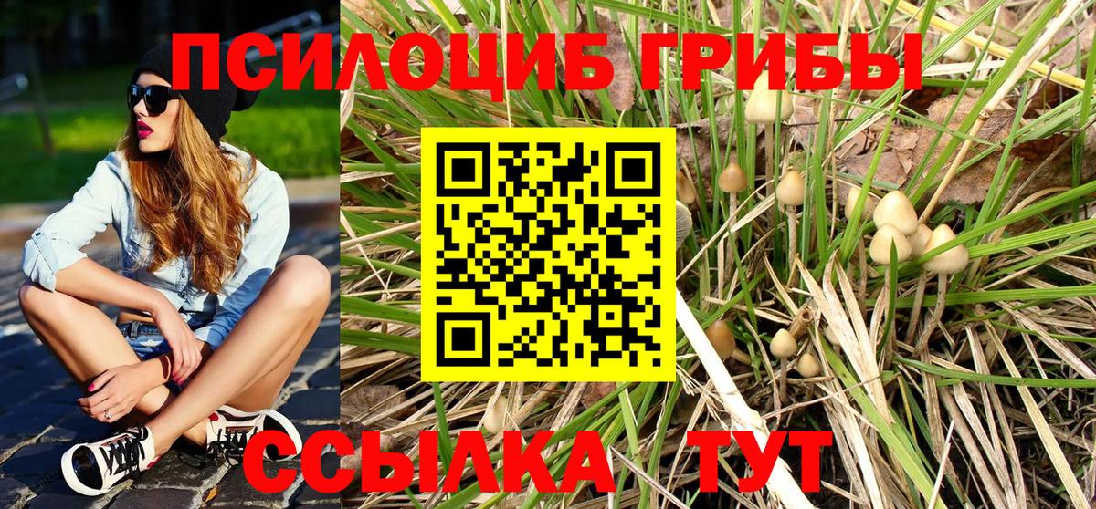 Галлюциногенные грибы Psilocybine cubensis  Галлюциногенные грибы GOLDEN TEACHER  Коряжма 