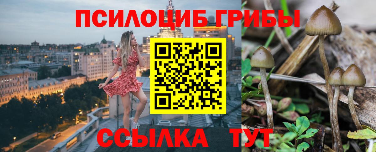 Галлюциногенные грибы Cubensis  Вход с VPN  Коряжма 