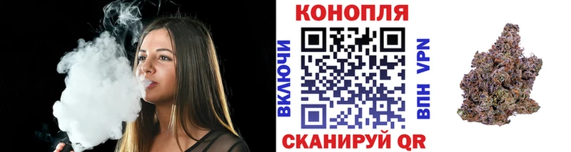 закладка  Коряжма  Марихуана план 